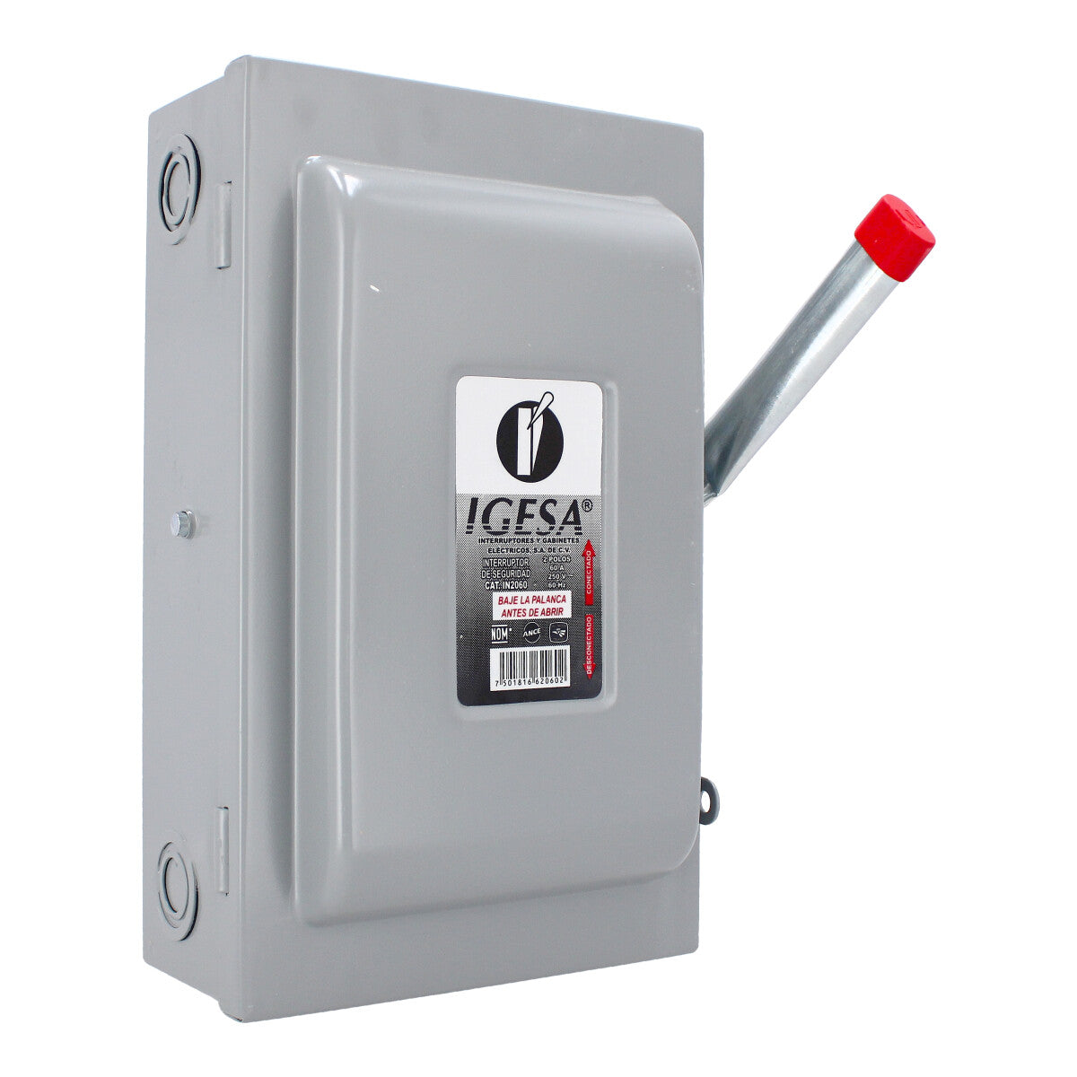 Interruptor de seguridad de 2 polos 60 Amp IN2060 IGESA